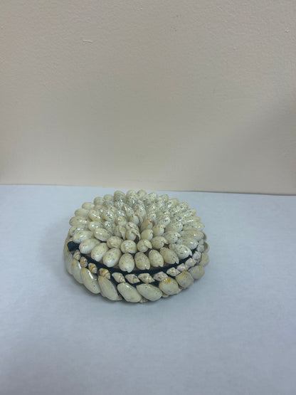 Seashell Jewelry Box