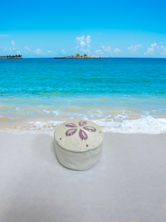 Pearlescent Sand Dollar Dish