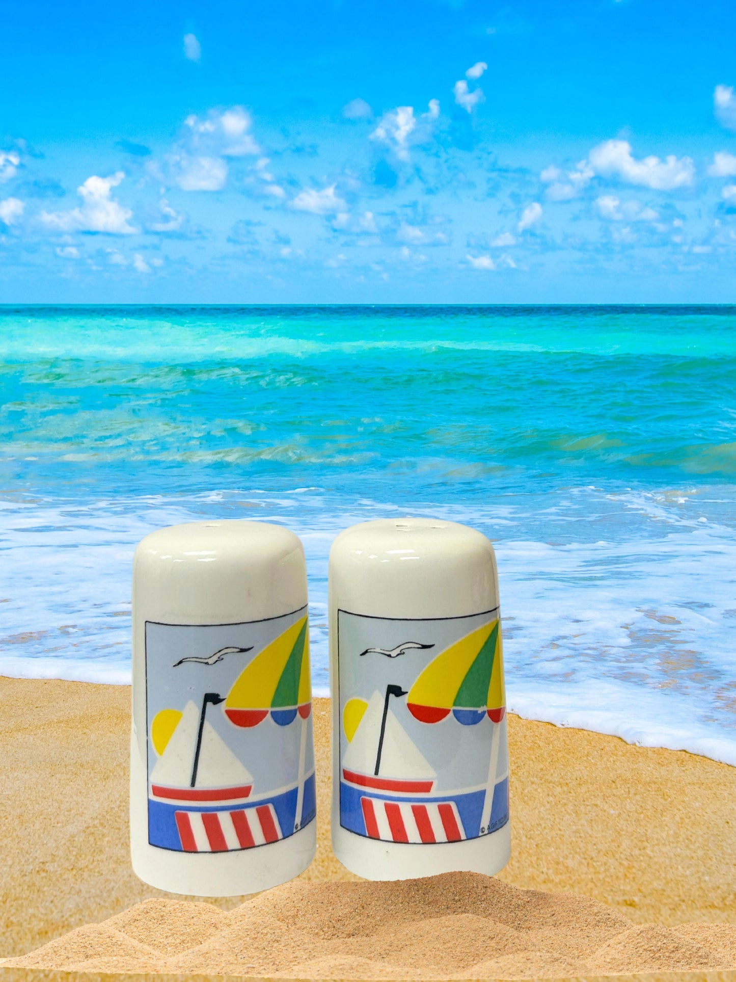 Shore Seasoning Shakers